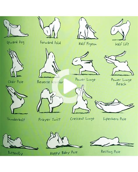 yoga bunny bunny yoga    yoga yoga bunny yoga