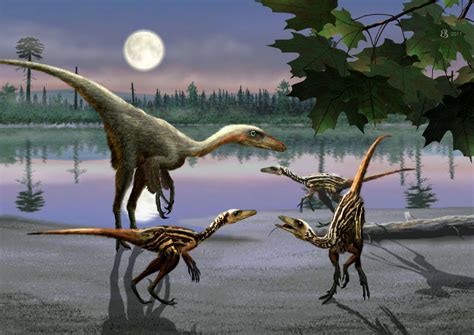 facts  troodon  dinosaur   cretaceous period