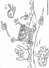 Spongebob Schwammkopf Ausmalbilder Esponja Colorir Imprimir Qualle Sponge Lindo sketch template