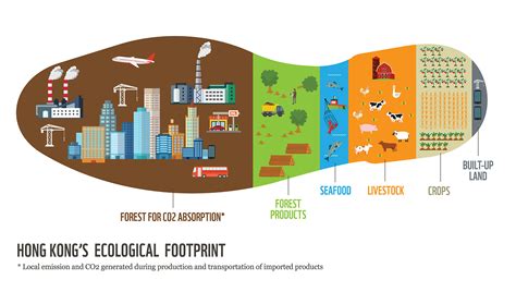 ecological footprint liberal dictionary