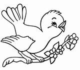 Clipart Book Spring Coloring Pages Color Bird Birds Library Clip Cliparts sketch template