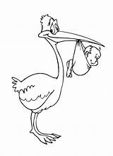 Stork Coloring Pages Coloringtop sketch template