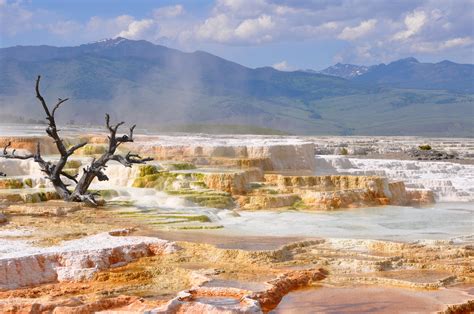 Yellowstone Landscape Near Mammoth Springs In Wyoming