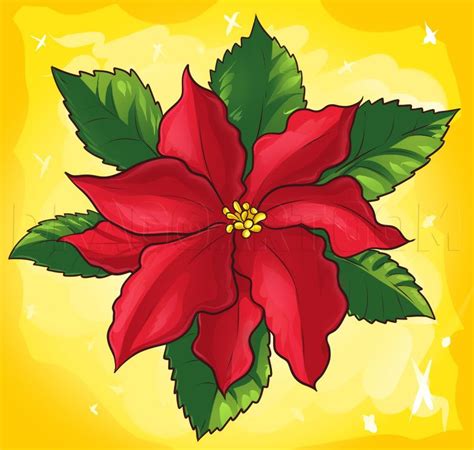 submitted  tutorial   pretty christmas flowers      poinsettias
