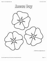 Anzac Template Poppy Poppies Coloring Flower Colouring Color Sheets Printable Pages Memorial Activities Remembrance Kids Veterans Bigactivities Flowers School Sheet sketch template