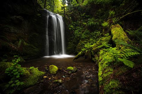 forest pool photograph  mike reid fine art america