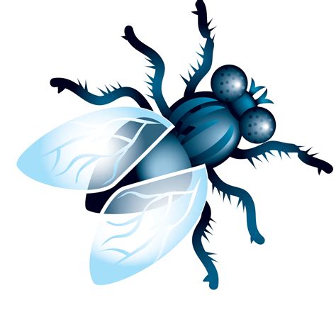 fly png image