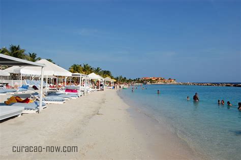 curacao beach mambo beach pictures  tourist information