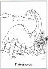 Plateosaurus Dinosaurier Dinosaurs Malvorlagen sketch template