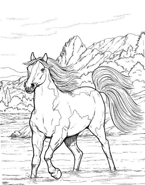 horse running   field  mountains   background coloring