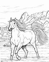Coloring Horse Pages Adults Horses Kids Animal Realistic Colouring Printable Print Adult Cavalos Sheets Color Books Drawings Bestcoloringpagesforkids Burning Wood sketch template