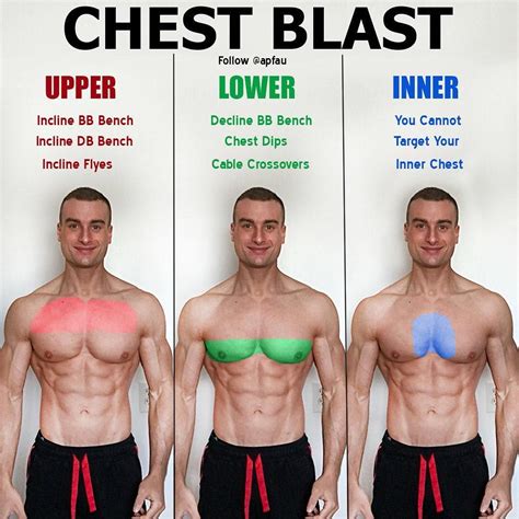workouts    chest workoutwalls