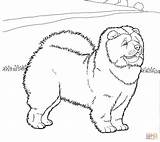 Chow Cachorro Coloring Kolorowanki Honden Kolorowanka Ausmalbild Kleurplaat Chien Hunde Sketch Druku sketch template