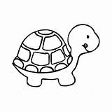 Tortue Coloriage Coloriages Tortoise Tortuga Terre Populaire sketch template