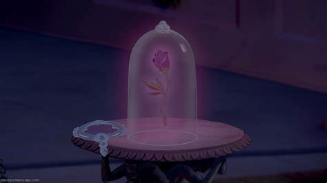 enchanted rose disney wiki