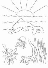 Dolphin Jumps Smiles Underwater Kids Waves sketch template
