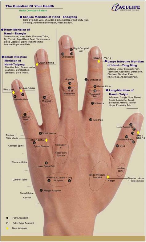 hand reflexology chart aculife  hand acupressure pinterest