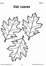Leaf Printable Template Patterns Oak Leaves Fall Coloring Drawing Pages Pattern Traceable Tree Templates Autumn Valentine Cut Sheets Color Activities sketch template