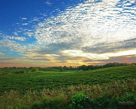 life   slow lane  patterns   fields