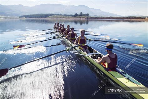 rowing team rowing scull  lake effort sports clothing stock photo