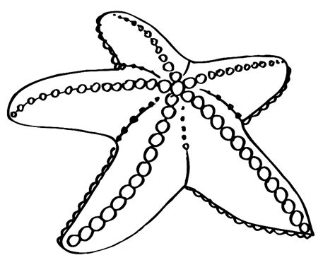 printable starfish coloring pages printable templates