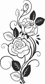 Rose 3axis Vine Flower Coloring Vector Pages Adult  Wood Sheets Burning sketch template