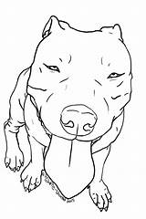 Pitbull Pit Pitbulls Wolfie Argentin Dogue Undead Orig06 Bulldog Bully Lapiz Malvorlagen Pitty Sie Justme Tatuajes Coloringfolder sketch template
