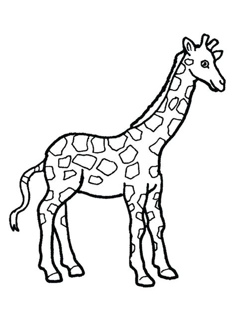 coloring pages  adults giraffe  getcoloringscom  printable