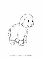 Lamb Colouring Pages Sheep Colour Animals Farm Animal Activityvillage sketch template