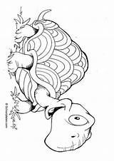 Schildpad Tortuga Tartaruga Kleurplaat Colorare Educima Tortue Educol Schoolplaten sketch template