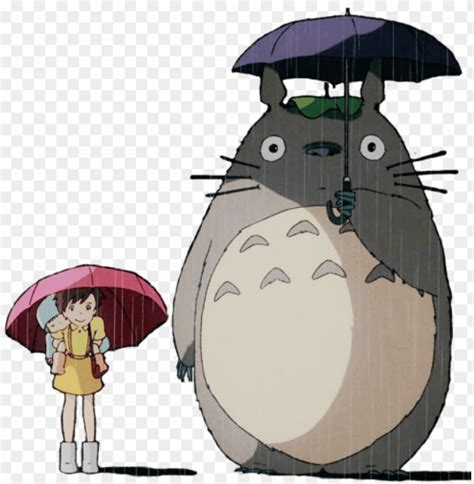 studio ghibli totoro png image  transparent background toppng