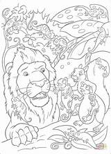 Coloring Pages Wild Disney Cloak Camo Animals Samson Kleurplaten Animal Book Ausmalbilder Printable Talks Chameleons Color Het Go Zo Elegant sketch template