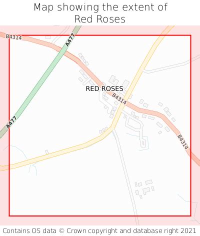 red roses red roses   map