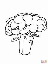 Cauliflower Coloring Drawing Pages Vegetables Printable Color Getdrawings sketch template