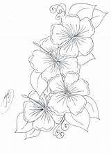 Lily Tiger Coloring Pages Printable Getcolorings Flower sketch template
