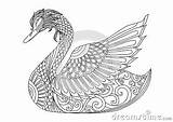 Swan Zentangle Tattoo Coloring Drawing Effect Decoration Shirt Logo Stock Vector sketch template