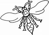 Wasp Colorare Vespa Vespe Insetto Disegni Avispas Wasps Lupine Designlooter Disegnare sketch template