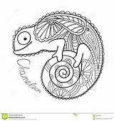 Mandala Mandalas Chameleon Camaleonte Animais Mandale Kidipage Etnico Sveglio Nello Malvorlagen Etnisk Kameleont Gullig Kolorowanki Ze Ornate Seamless Camaleon Lagartos sketch template