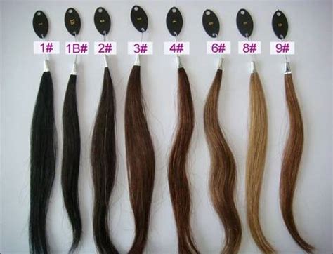 hair color chart  storenvy