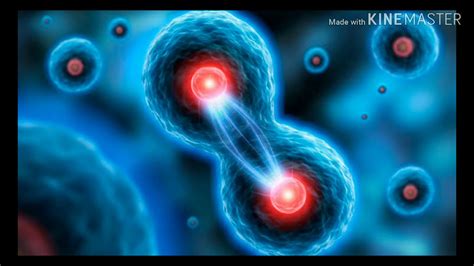 Division Celular Mitosis Y Meiosis Youtube