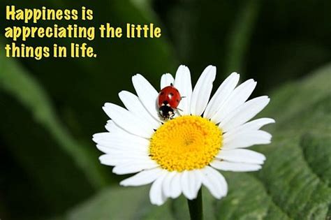 appreciating     life quote picture
