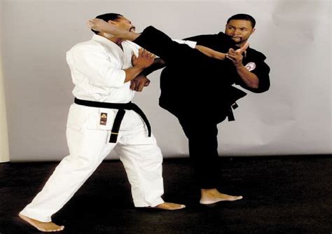 blocks  afrocentric martial art technique  inspired mike tyson wesley snipes
