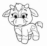 Cow Coloring Pages Baby Cows Kids Printable Chibi Color Face Cartoon Drawing Kidsplaycolor Print Getdrawings Template Getcolorings Draw Popular sketch template