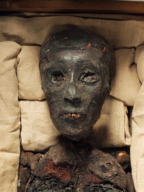 Tutankhamun Mummy Mummipedia Wiki Fandom Powered By Wikia
