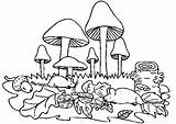Pilze Paddestoelen Champignons Ausmalbilder Malvorlagen Colorare Funghi Malvorlage Mushrooms Pilz Animaatjes Steinpilz Coloriages Foret Ausmalen Immagini Bambini Fungo Herfst Animati sketch template