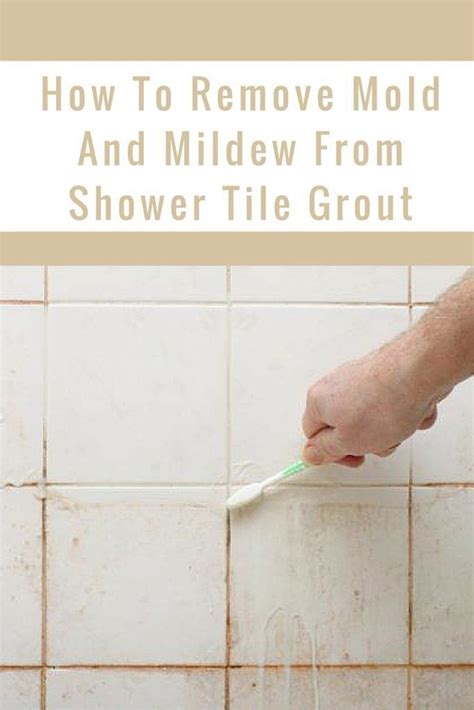 remove mold  mildew  shower tile grout modern design