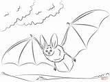 Bat Coloring Eared Big Bats Pages Printable Drawing Townsend Cute Easy Draw Colouring Color Supercoloring Halloween Drawings Fruit Da Printables sketch template