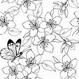 Cherry Blossom Coloring Pages Tree Japanese Colouring Lovely Getcolorings Blosso Printable Getdrawings Color sketch template