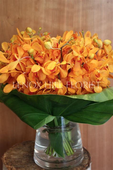 Orchids Mokara Also In Yellow Orchid Flower Arrangements Orchids