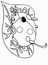 Coloring Pages Animals Ladybug Ladybugs Lady Printable Bugs Gif Virtual Preschool Science Time Colorat Library Advertisement Clipart Ws Birthdayprintable sketch template